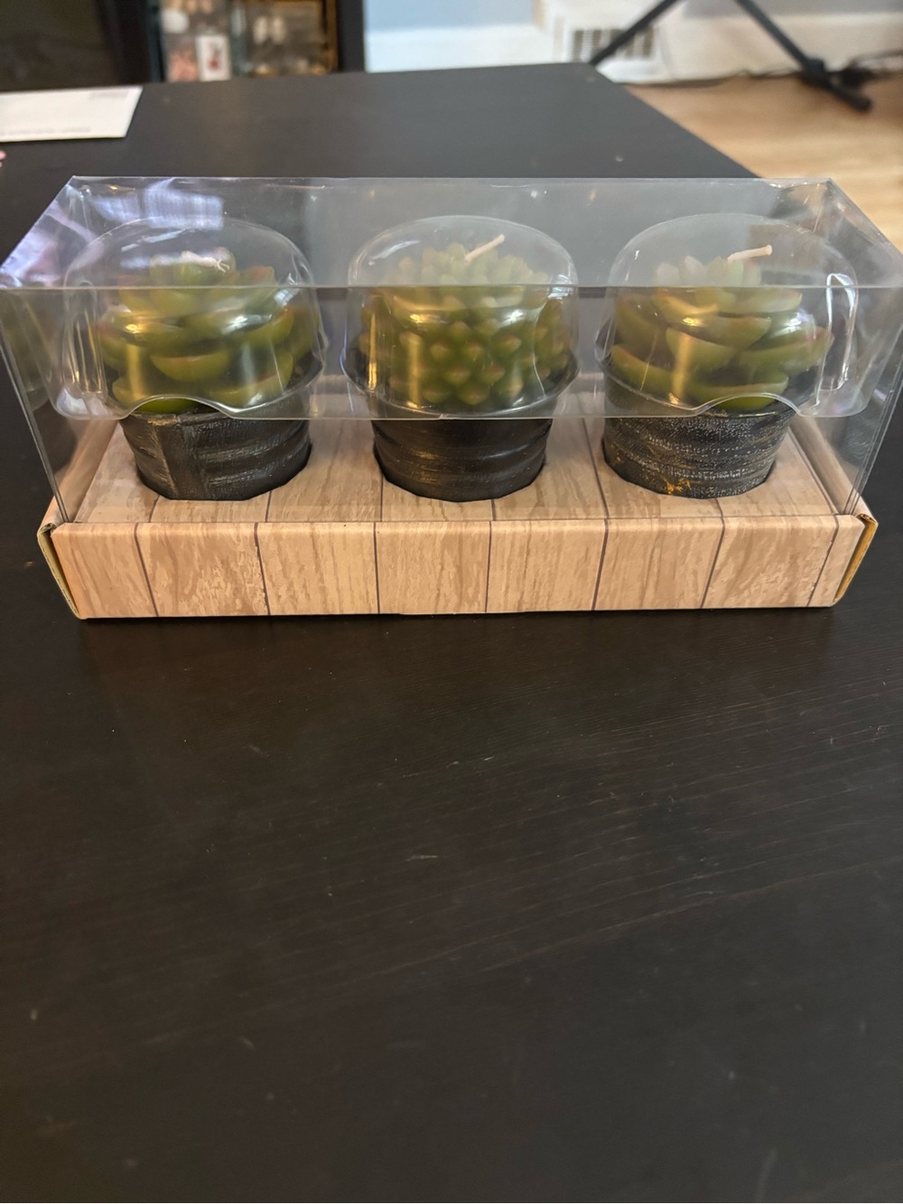 Decorative Green Succulent Candle Set